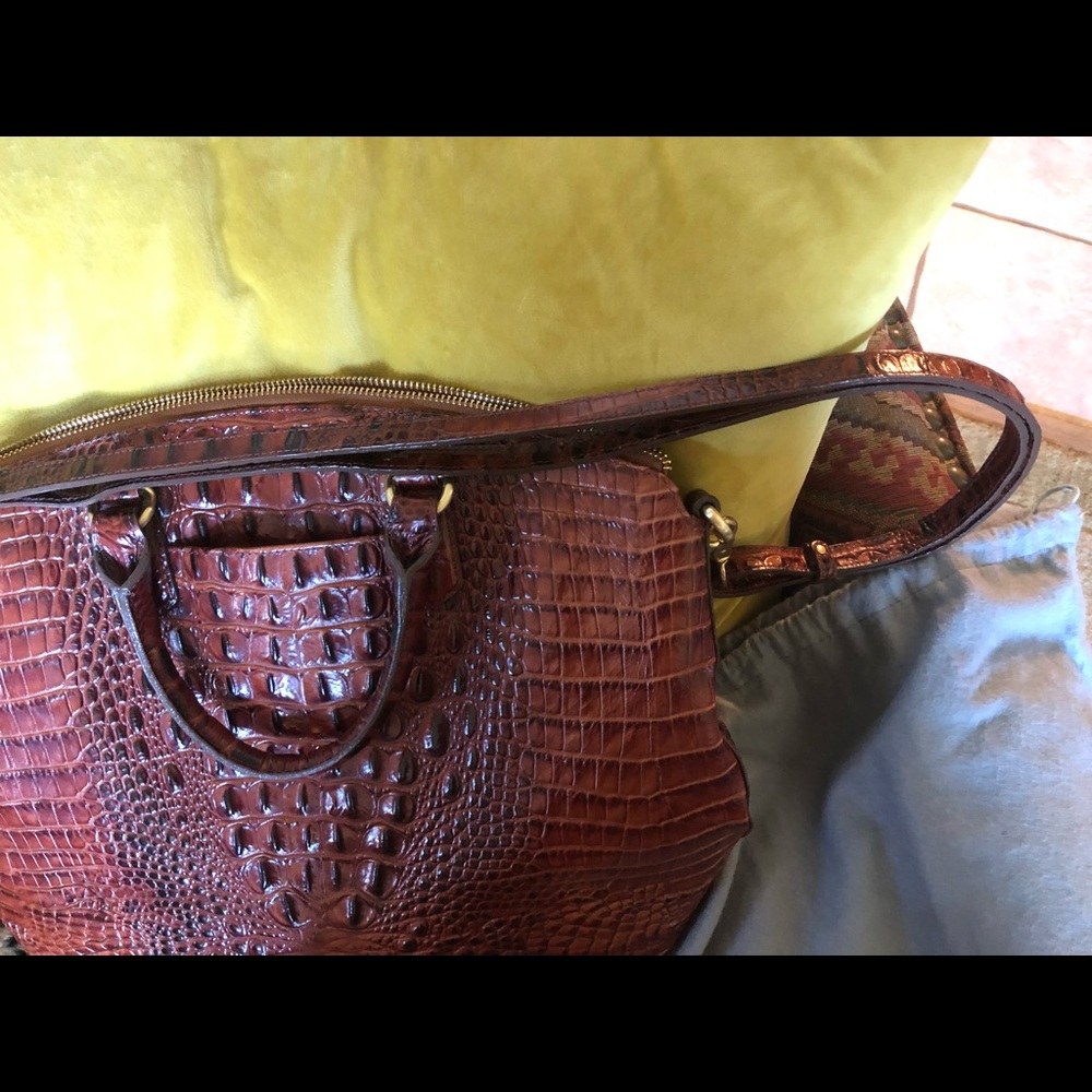 Large Brahmin Duxbury